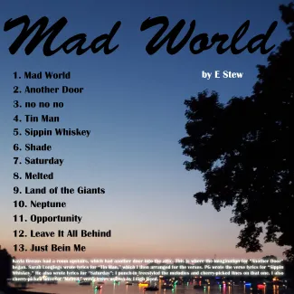 E Stew - Mad World - Album insert